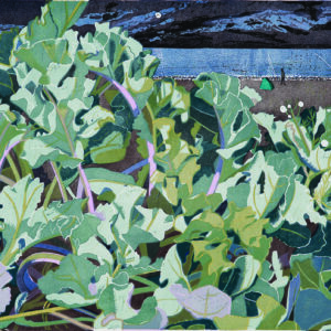 Sea Kale at Pakefield