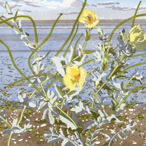 Horned Poppy at Snettisham linocut